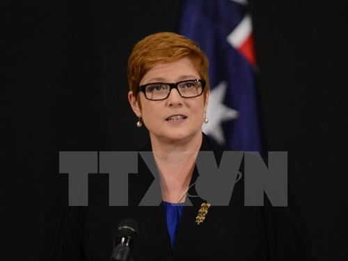 Bộ trưởng Quốc phòng Australia, Nhật, Mỹ thảo luận về vấn đề Triều Tiên
